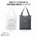 バッグ付レインウェア ポンチョ 40個セット カッパ レインウェア 学生 通勤 通学 雨 対策 アウトドア キャンプ 観戦 野外 イベント スポーツ 自転車 登山 軽量 通学用 ゴルフ レインコート 雨がっぱ 合羽