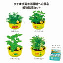 育てるカプセル ゆ桶でハーブ栽培 96個セット 菜園 室内 野菜 栽培可能 植物育成 セット 観察 簡単 植物 育てる 安い 激安 まとめ買い 景品 粗品 イベント 記念品 来場 プレゼント