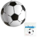 サッカー ビーチボール パールビーチボール 景品 ノベルティ おもちゃ 玩具 パーティー 縁日 子ども会 子供会 プール ビーチ ボール 浮き輪 うきわ レ...