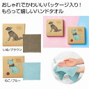 泉州はんどたおる 75個セット たおる タオル 手拭 ハンカチ ハンドタオル ミニタオル かわいい プチギフト ギフト まとめ買い 安い 激安 大人 子供 保育園 幼稚園 お祝い 卒園 卒業 入園 入学 景品 粗品 まとめ買い イベント