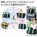 背負えるレジカゴラゲッジ 30個セット レジかごバッグ 鞄 防災 レジャー 大容量 保冷 保温エコバッグ お買物 ショッピング 景品 粗品 記念品 来場 まとめ買い