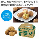大地の味わい 北海道産じゃがいも 男爵1kg 24個セット じゃがいも プレゼント イベント 景品 送料無料 お祭り 集客 配布 詰合せ 詰め合わせ ギフト 粗品 子供会 町内会 縁日 お得なセット まとめ買い