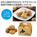 北海道産じゃがいも 男爵1.3kg 16個セット じゃがいも プレゼント イベント 景品 送料無料 お祭り 集客 配布 詰合せ 詰め合わせ ギフト 粗品 子供会 町内会 縁日 お得なセット まとめ買い