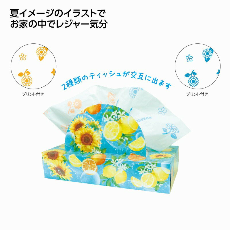 乐天商城 - 夏柄BOXティッシュ120W ビタミンサマー　60個セット　　ティッシュペーパー 紙 ボックスティッシュ 消耗品 箱ティッシュ まとめ買い ボックス 箱買い 衛生 安い 激安 景品 粗品