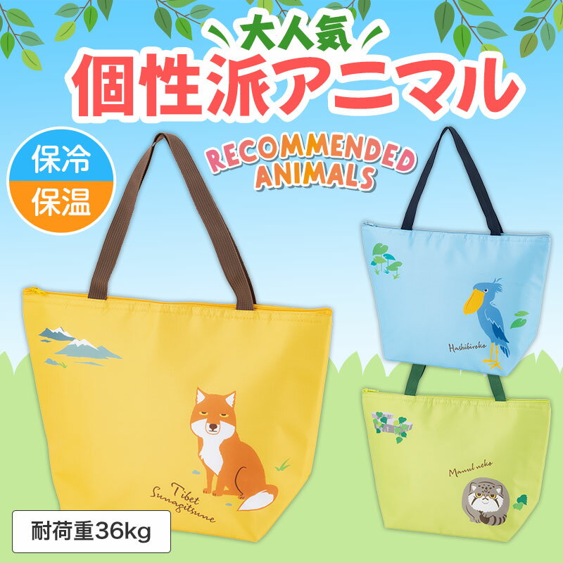 リコマル おでかけ保冷バッグ 48個セット 保冷バッグ 温バッグ ノベルティ 粗品 イベント ギフト 販促品 キャンプ アウトドア 折りたたみ 軽量 大容量 コンパクト エコバッグ ランチバッグ おしゃれ 安い 人気 おすすめ ノベルティグッズ