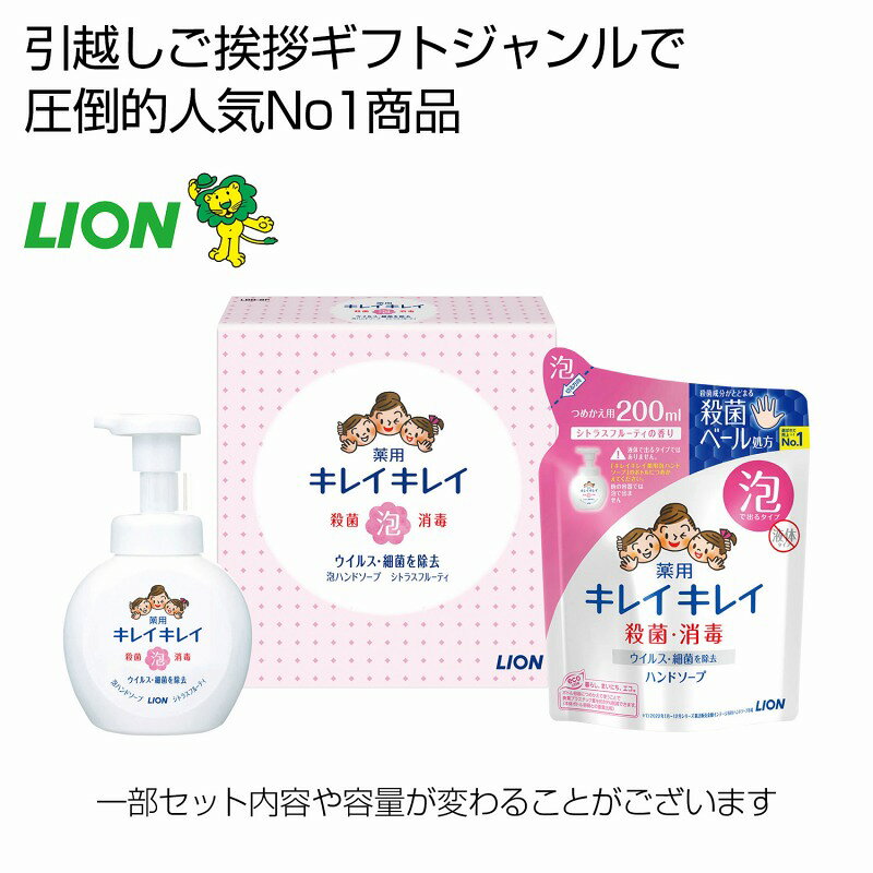●セット内容：キレイキレイ泡ハンドソープ250ml×1 ・キレイキレイ泡ハンドソープ200ml(詰め替え用)×1●化粧箱サイズ：16.8×6.6×17.8cm　　/ありがとう/イベント/祝/売り出し/うれしい/運動会/宴会/大口/お買い得/おすすめ/お得/おまけ/おめでた/おもしろ/御礼/会合/会社/会場/学校/変わり種/企業/記念/ギフト/景品/ゲーム/グッズ/激安/限定/高級/子供会/ゴルフ/コンサート/コンペ/最安/雑貨/自治会/消耗品/商店/商品/賞品/処分/スペシャル/生活雑貨/セール/セット/贈答/粗品/大会/誕生日/チャンス/抽選/通販/ツール/展示会/店舗/特別/特価/ニッチ/NEW/人気/値引/ノベルティ/パーティ/ばらまき/販促/ヒット/プチギフト/プレゼント/ポイント/掘り出し/まとめ/見切り/催し/安い/用品/話題/割安