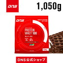【公式】DNS プロテイン1.05kg プロテインホエイ100 チョコレート/カフェオレ/ストロベリー/バナナ/マンゴー/抹茶/バニラ/レモン/1kg/サプリメント/プロテイン/ダイエット/トレーニング ディーエヌエス