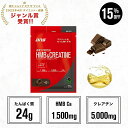 【11日1:59まで!15%OFF&1000円OFFクーポン】DNS ホエイプロテインHMB & クレアチン 35g プロテイン ホエイ ビターチョコレート エナジードリンク ハイスペック HMB クレアチン サプリ サプリメント 女性 男性 たんぱく質 筋トレ ディーエヌエス 国内製造