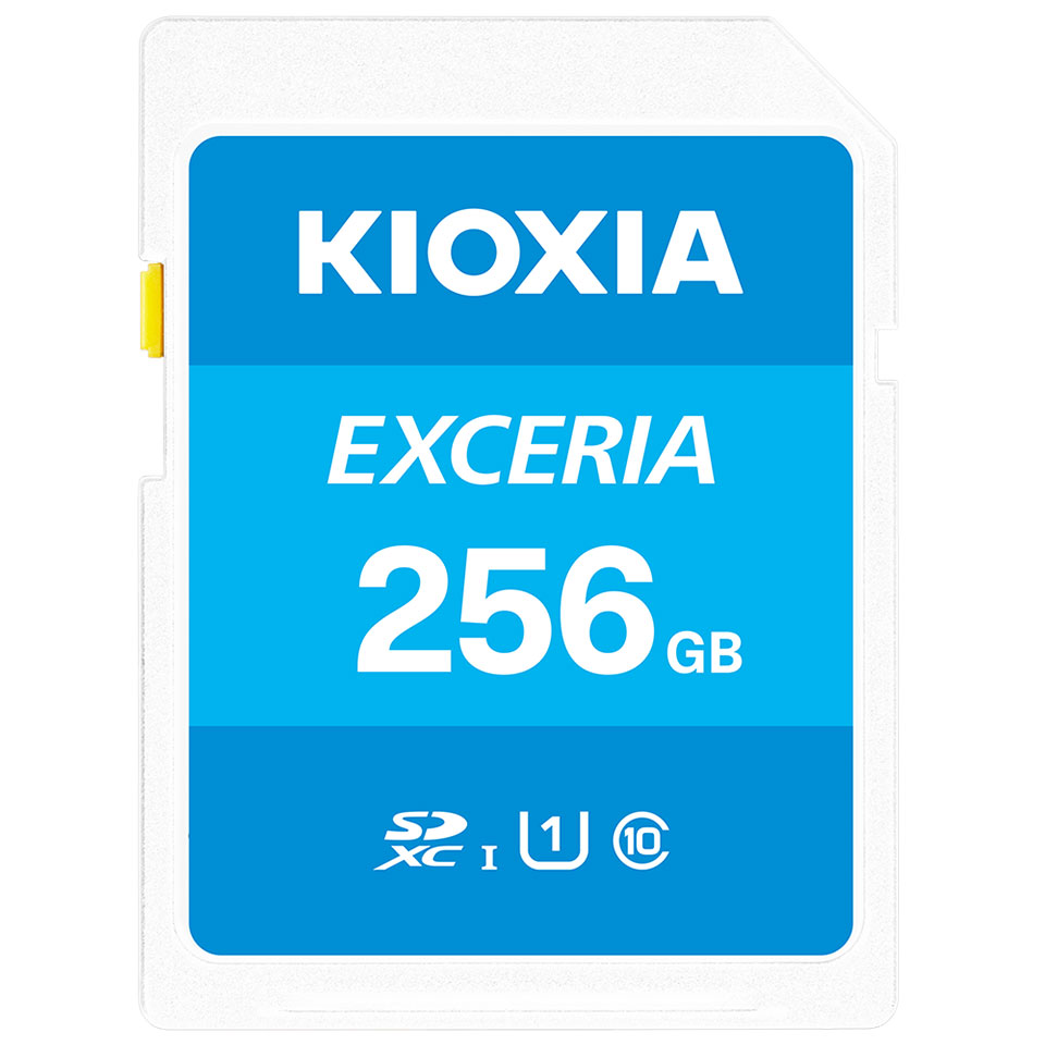EXCERIA KLNEA256G [256GB]