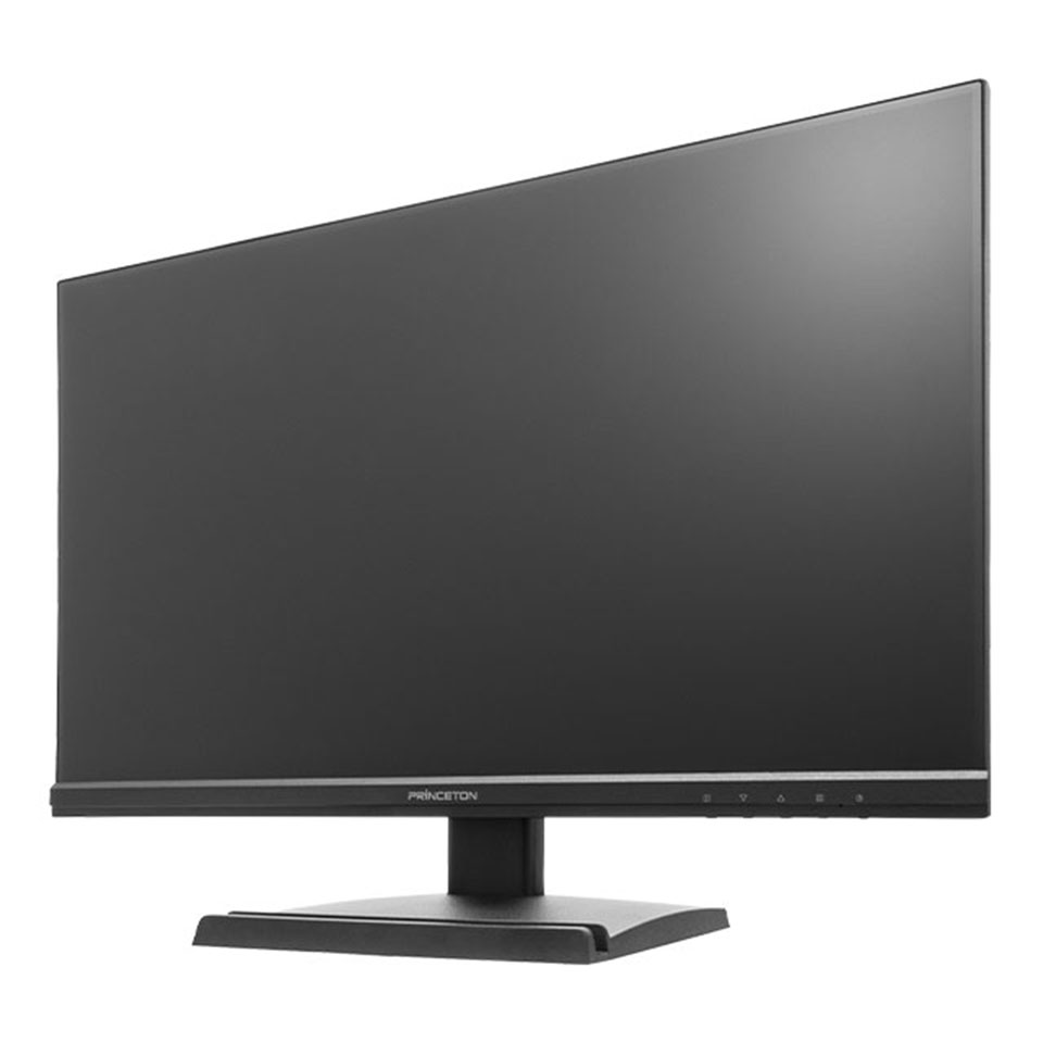 【新品】Princeton (PTF-B241W-BK) 23.8型 100Hz FHD ADSモニター ブラック [1920 x 1080 /HDMI1.4 /VGA /スピーカー内蔵 ][送料無料]