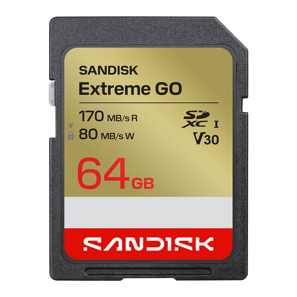 規格：SDXC容量：64GBスピードクラス：CLASS10、U3、V30最大転送速度：170MB/s最大書込速度：80MB/s海外パッケージ品保証期間：30日間