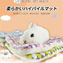 ハイパイルペットマット ふんわりとした 手触り感良い 無臭無毒 ブランケットのように 防寒保温 通気性良い 厚い 保温性抜群 うさぎ用 犬猫用 ベッド・マット・寝具 プレゼント