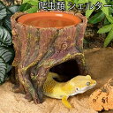 爬虫類 シェルター 隠れ家 ウェットシェルター 木の穴 洞窟 穴 両生類 飼育 保湿 ハイドロボックス 両生類用品