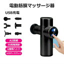2024 進化版 筋膜リリース 電動 ハンディマッサージャー 筋膜リリース マッサージガン USB充電 電動マッサージ器 30段階調節可能 6種類ヘッド 強力振動 軽量 肩 こり 腰こり 背中 筋肉痛み 足 身体 筋膜リリース機器 高周波マッサージ機 自宅 職場 ジム 車 筋肉疲労回復