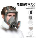 BOBDOG SHOP 新生活用品 全面形防毒マスク フルフェイスマスク フィルター付きフェイスマスク 再利用可能なフルフェイスマスク マスク ローラー塗装作業...