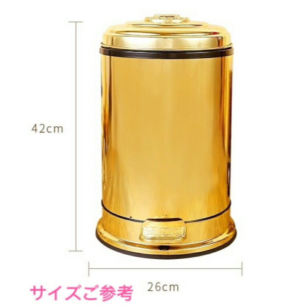 高級感ゴミ箱 10L インテリア調 ステンレス製 ごみ箱 キッチン用品 [2]
