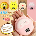 【送料無料】電気カイロ 充電式カイロ 2段階温度調節 充電式 電気カイロ 連続発熱 両面急速発熱 防寒グッズ 10000mAh大容量アウトドア ハンドウォーマー...