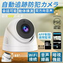 【送料無料】防犯カメラ ドーム型 屋外 屋内 WiFi 家庭用 最大値500万画素 双方向対話 首振リ 動体検知 遠隔監視 夜間撮影 簡単設定 工事不要 SDカ...