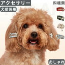 犬 アクセサリー 用品 ヘアピン ヘアアクセサリー かわいい おしゃれ 人気 新作 小型犬 パッチン 留めヘアピン ポップ ハンドメイド 髪飾り コーム型パッチン留め アクセサリー 犬用 犬猫兼用 前髪留め パッチン留め パッチンどめ 髪留め