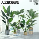 人工観葉植物 フェイク フェイクグリーン 大型 高さ 120cm 150cm 180cm 造花 北欧風 インテリア 室内 屋外 オフィス 在宅 フェイク植物 人工観葉植物 水やり不要 枯れない 盆栽植物 飾り用 撮影用 部屋飾り 鉢植 開店祝い 開業祝い 引っ越し 贈り物 敬老の日 プレゼント用