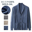 特典あり カシミヤ セーター カーディガン メンズ vネック 抗ピリング加工 メンズセーター ニット トップス カシミヤ100% 男性 学生 紳士 ビジネス 3...