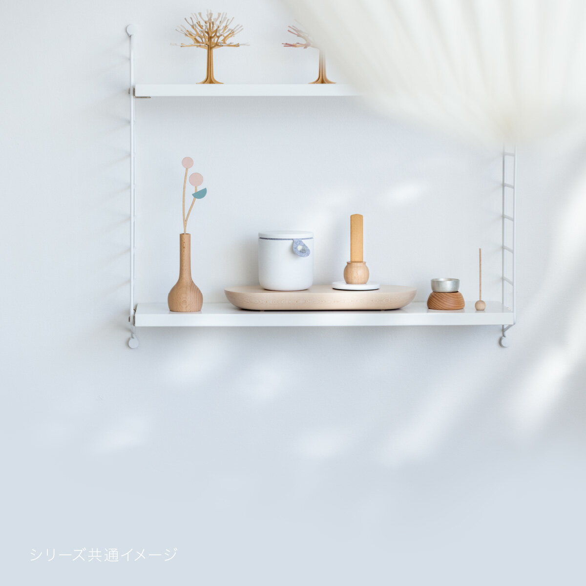 ���äݤ� ���� 5�� �ڥå� �淿�� ������ �Ƹ� �ե����֥� �ӡ����� �������� ������ƥ� ���꡼ ������� ����ƥꥢ �̲� ����ץ� ���襤�� ���ꥳ��ѥå��� ���� ���Ĥ� �긵���� ���䥫�С� ̵���� �İ��� �ڥåȶ��� ����ץ�