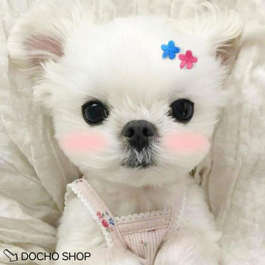 ヘアピン キッズ 犬 猫 10個 ペットヘアピン ペットヘアクリップ ペット用ヘアリボン ペット用髪飾り 髪飾り 髪留め 軽量 可愛い