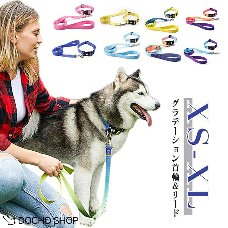 首輪 かわいい 散歩用 かわいい 中大型犬 犬 リード セット グラデーション 中型犬 犬 リード 首輪 ブランド 痛くない 猫