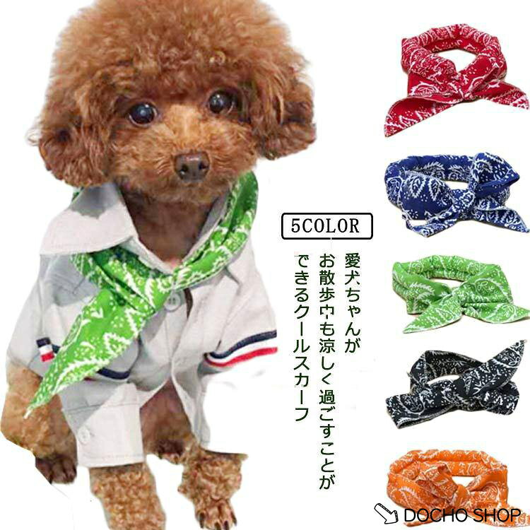 2枚セット