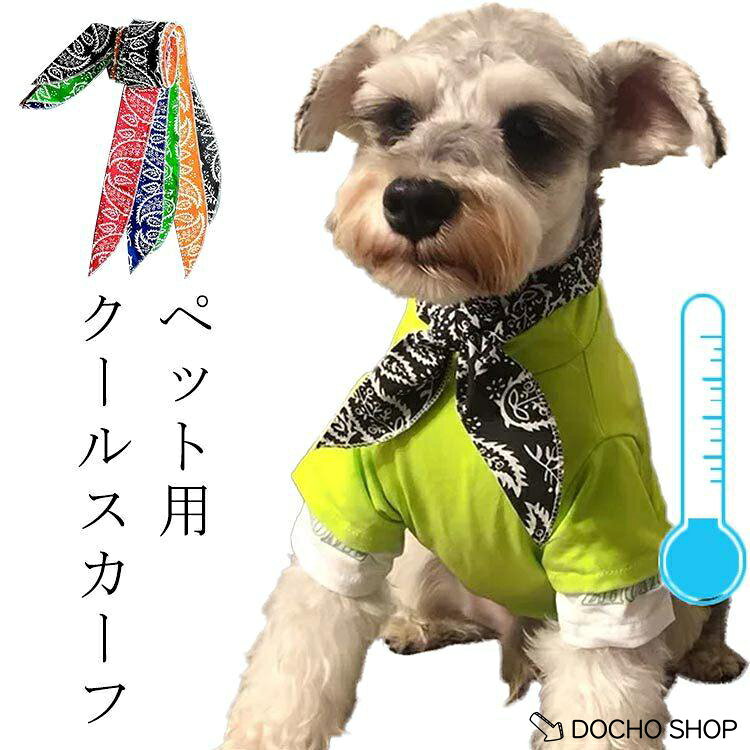 フリーサイズ