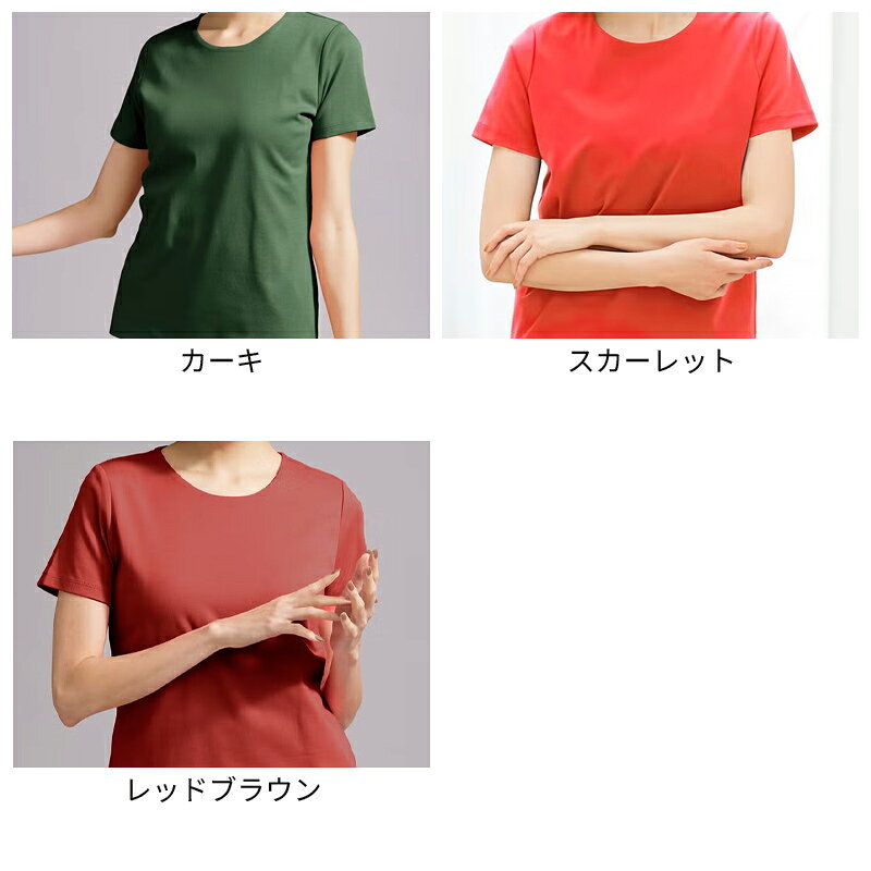 セール26%OFF 【ドゥクラッセ】 トップス Tシャツ カットソー クルーネック ／ 半袖 ・ DoTファイン レディース ( S〜XXL ) おしゃれ きれいめ 30代 40代 50代 大人、輝く服 【DoCLASSE】 doclasse-10002330 DoCLASSE サンプル画像2