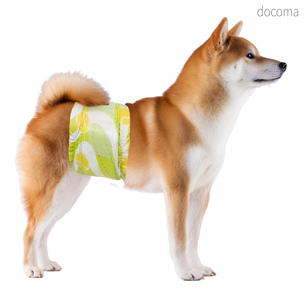樂天商城 - 【送料無料】犬おむつ男の子用 L60枚入 滑り止めテープデザイン犬オムツ 湿度表示線付きマナーベルト 厚手高吸収体 通気性使い捨てマナーおむつ マーキング防止 おもらし対策 介護腹巻風おむつカバー