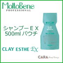 モルトベーネ クレイエステシャンプーEX 500mlパウチ