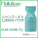 モルトベーネ クレイエステシャンプーEX 1,000mlパウチ