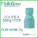 モルトベーネ クレイエステパックEX 500gパウチ