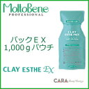 モルトベーネ クレイエステパックEX 1,000gパウチ