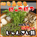 テレビで話題!本場より直送!秋田名物「だまこもち」入り森岳じゅんさい鍋セット【 2人前 】【楽ギフ_包装】【楽ギフ_のし】【楽ギフ_のし宛書】 - ドジャース 楽天市場店