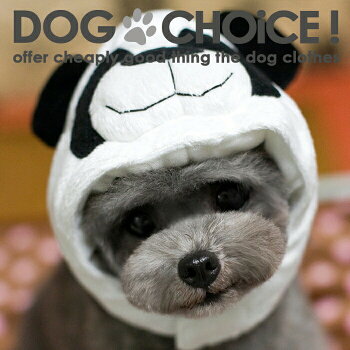 大型犬 洋服 人と自然と響きあう