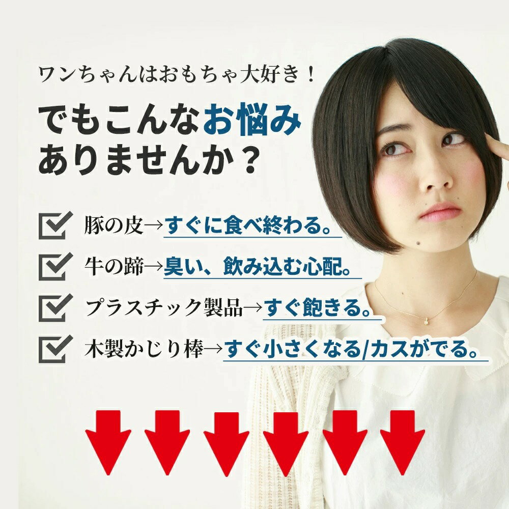 鹿角1000円ポッキリ【半割約11cm(ショート)】【小型犬中型犬用】ペット北海道産エゾシカ犬のおもちゃ送料無料誕生日プレゼントしつけいたずら防止おやつドッグガムデンタルケア蝦夷鹿口臭対策蝦夷鹿鹿の角シカの角しかつの犬おもちゃ