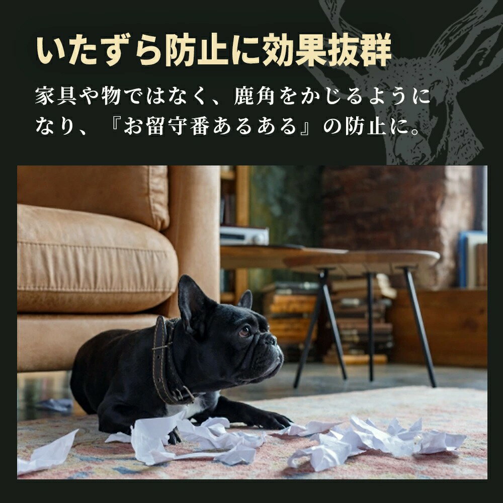 鹿角1000円ポッキリ【半割約11cm(ショート)】【小型犬中型犬用】ペット北海道産エゾシカ犬のおもちゃ送料無料誕生日プレゼントしつけいたずら防止おやつドッグガムデンタルケア蝦夷鹿口臭対策蝦夷鹿鹿の角シカの角しかつの犬おもちゃ