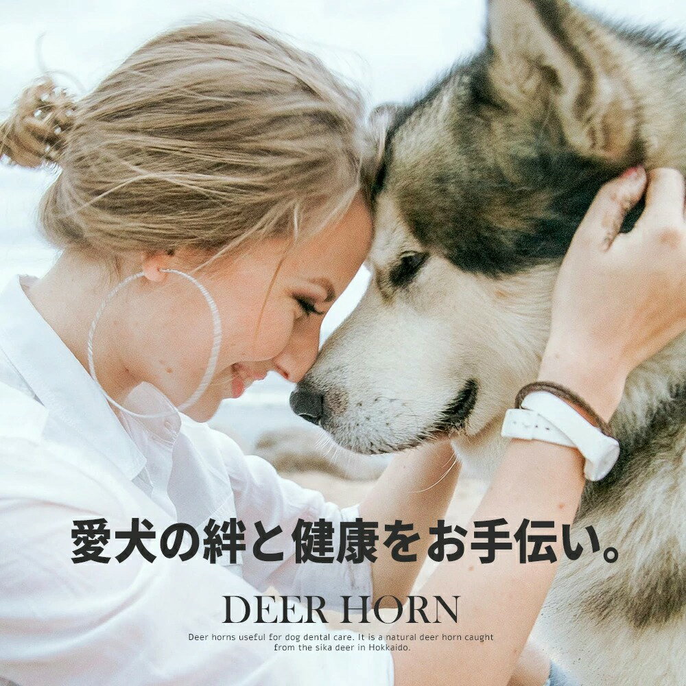 鹿角1000円ポッキリ【半割約11cm(ショート)】【小型犬中型犬用】ペット北海道産エゾシカ犬のおもちゃ送料無料誕生日プレゼントしつけいたずら防止おやつドッグガムデンタルケア蝦夷鹿口臭対策蝦夷鹿鹿の角シカの角しかつの犬おもちゃ
