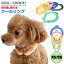 XSSSSUO for dogs 28COOL RING28륯󥰡˸ѥ/ǭѥ/ڥåѥ/󥰻/䴶/Ҥ/Ǯкå/ڥåô//Ҥ// ⤪·Ѳǽڥåפ򸫤