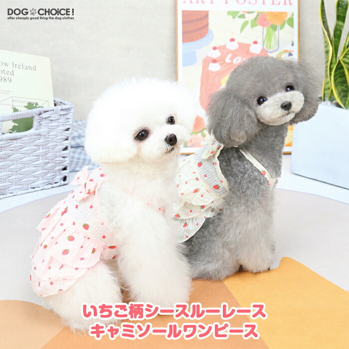 犬服 ドッグウェア キャミソール かわいい おしゃれ 犬用 夏服 ドッグチョイス Dogchoice 送料無料 ワンピース バブル キャミ 春服 Dogbabyいちご柄シースルーレースキャミソールワンピース パンプキン 犬の服 ペット服 お得なキャンペーンを実施中 抜け毛防止 春夏秋冬