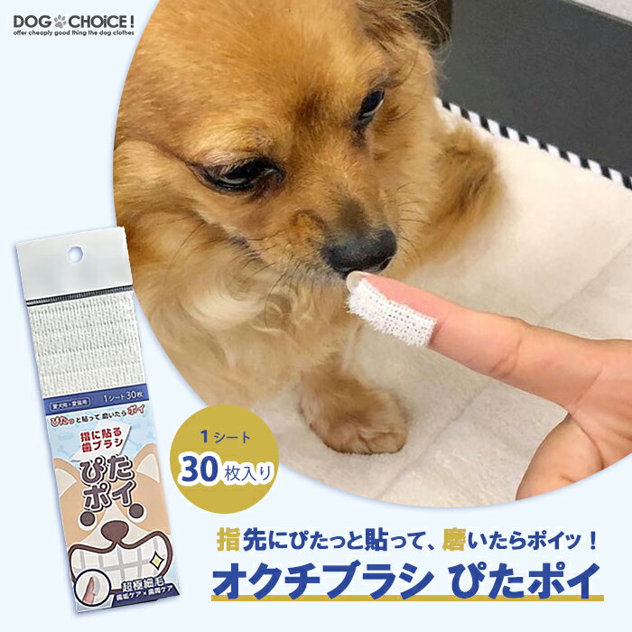 KPS（ケーピーエス）オクチブラシ ぴたポイ30枚入り 口臭 歯周病 歯垢歯磨き 口臭予防 歯周病予防 デンタルケア 歯みがき 口臭ケア 犬用 猫用 犬猫兼用 オーラルケア 国産 日本製 お口ブラシ ピタポイのサムネイル