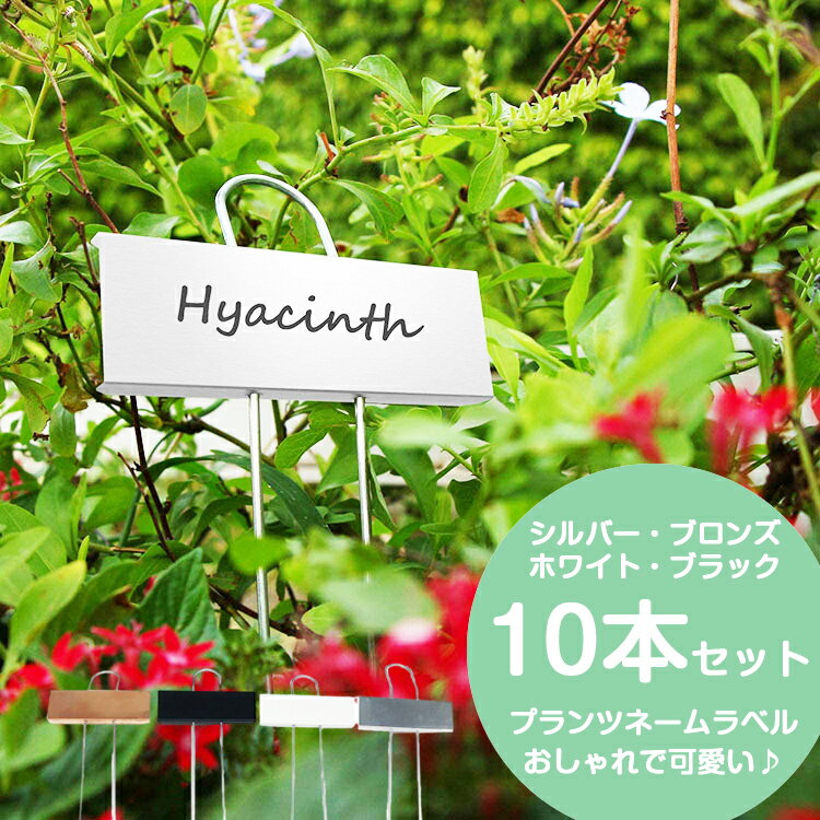 園芸用ラベル 10本セット 金属製 3カラー 油性ペン ホワイトマーカー プランツラベル ローズラベ ...