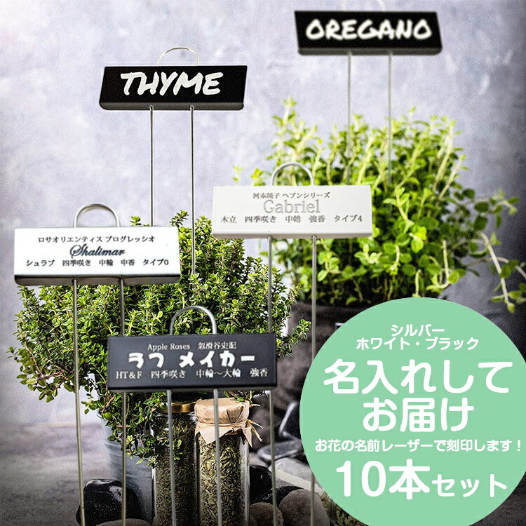 園芸用ラベル 名入れ10本セット 金属製 3カラー プランツラベル ローズラベル 園芸ネームラベル  ...