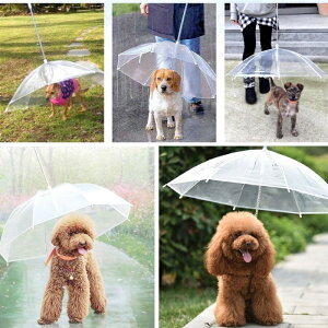 【春夏秋冬モデル】お散歩アンブレラ/犬傘/雨傘/雨具/ワンちゃんお散歩用傘直径72cmお手軽にお散歩したい方におすすめですカッパ、レインコートと併用すると完璧雨対策梅雨対策