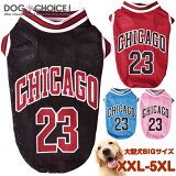  ɥå 󥯥ȥå ղƽ XXL-5XL緿CHICAGO23 å Хå ˥ե Ρ꡼ å奿󥯥ȥå ȴɻ ڥå   