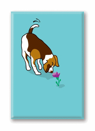 在庫限り　マグネットシリーズ【ビーグル&フラワー】輸入雑貨　犬雑貨　犬グッズ