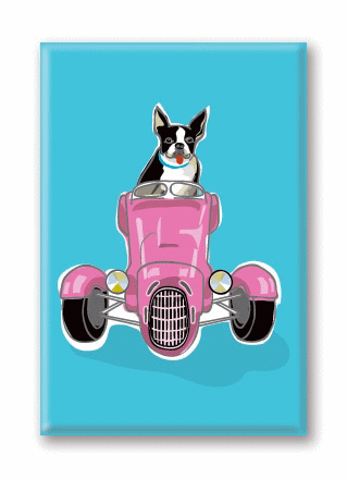 在庫限り　マグネットシリーズ【ボストン・テリアandカー】輸入雑貨　犬雑貨　犬グッズ